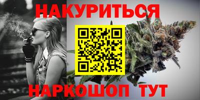 шишки Будённовск