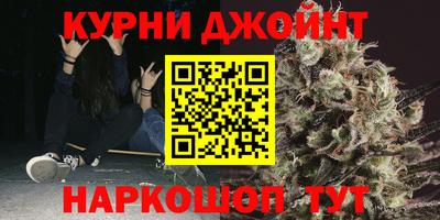шишки Будённовск