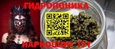 прущие крисы Бузулук