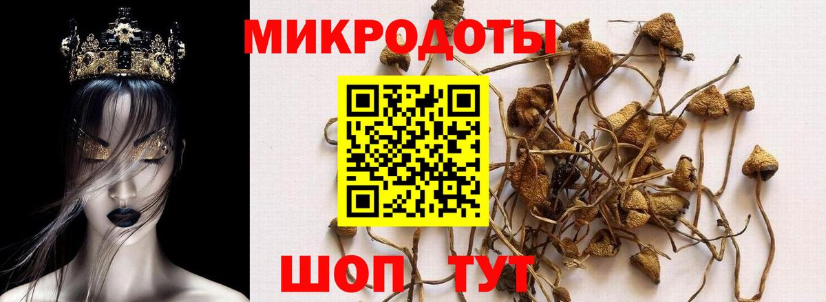Псилоцибиновые грибы GOLDEN TEACHER Тихорецк