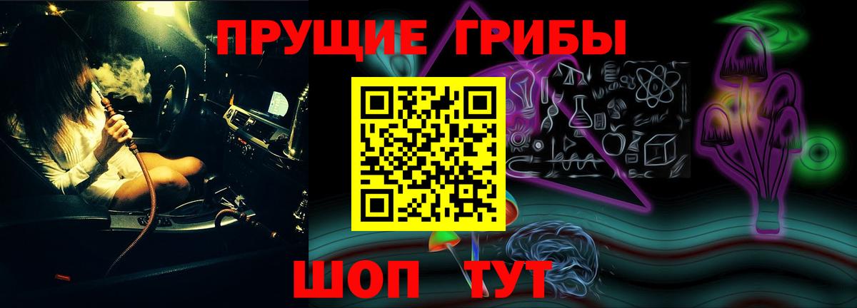 Галлюциногенные грибы Psilocybine cubensis  Вход с VPN  Тихорецк 